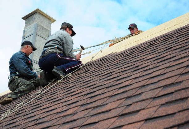 Best Local Roofing Companies  in Pequot Lakes, MN