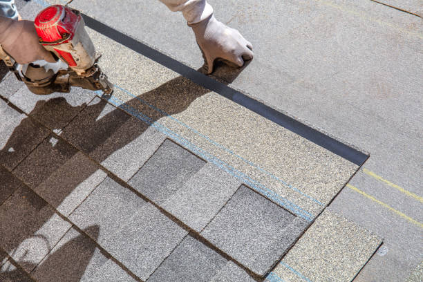 Best Shingle Roofing Installation  in Pequot Lakes, MN